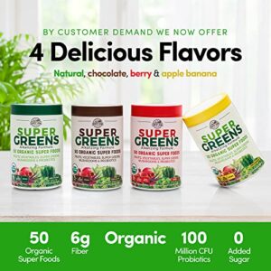 Country Farms Super Greens Natural Flavor, 50 Organic Super Foods, USDA Organic Drink Mix, 20 Servings (Packaging May Vary), 10.6 Oz