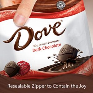 DOVE PROMISES Dark Chocolate Candy Bag, 8.46 oz