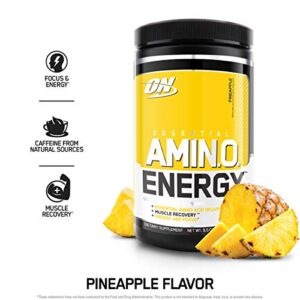 Optimum Nutrition Amino Energy - Pre Workout with Green Tea, BCAA, Amino Acids, Keto Friendly, Green Coffee Extract, Energy Powder - Pineapple, 30 Servings