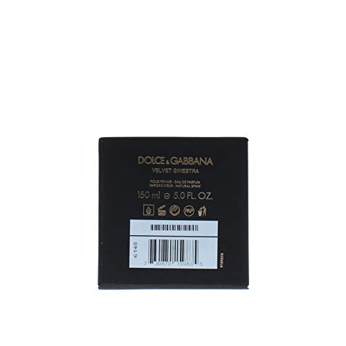 Dolce & Gabbana Velvet Ginestra By Dolce & Gabbana for Women - 5 Oz Edp Spray, 5 Oz