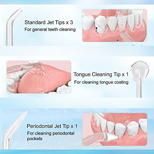 Cordless Water Flosser for Teeth, Portable Water Flosser, 4 Modes Dental Oral Irrigator, Rechargeable & IPX7 Waterproof Water Teeth Cleaner Picks with Travel Case, 5 Jet Tips