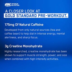 Optimum Nutrition Gold Standard Pre-Workout Fruit Punch 300g