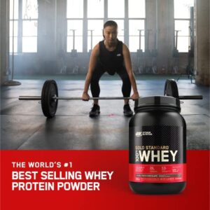 Optimum Nutrition Gold Standard 100% Whey Protein Powder, Chocolate Hazelnut, 2 Pound (Packaging May Vary)