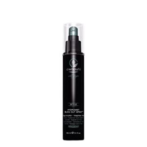 Paul Mitchell Awapuhi Wild Ginger HydroMist Blow-Out Spray, Style Amplifier, Weightless Hold, For All Hair Types, 5.1 fl. oz.