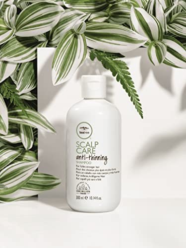 Tea Tree Scalp Care Anti-Thinning Shampoo, Thickens + Strengthens, For Thinning Hair, 33.8 fl. oz.