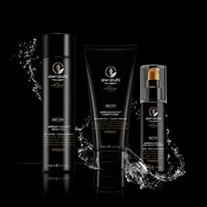 Paul Mitchell Awapuhi Wild Ginger MirrorSmooth Shampoo