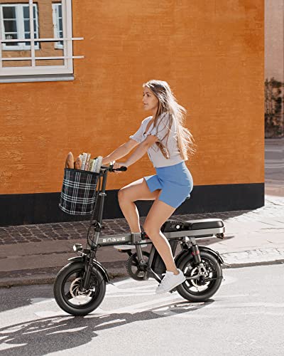 ENGWE Mini Electric Bike for Adults Teens, 14" Fat Tire City Commuter Ebike, 20MPH Light Weight Folding Electric Bicycles with 350W Motor 48V 10AH Removable Lithium Battery Multiple Shock Absorptions