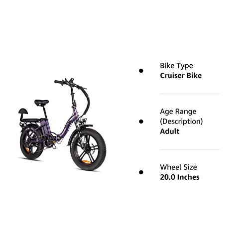 Rattan 750W Electric Bike for Adults Foldable Electric Bikes 48V 13AH Removable Battery 20" x 4.0 Fat Tire Electric Bicycles Ebike 2 Seater Electric Bike for Adults (LF-Purple)