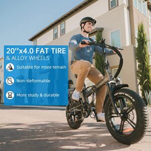 Rattan 750W Electric Bike for Adults Foldable Electric Bikes 48V 13AH Removable Battery 20" x 4.0 Fat Tire Electric Bicycles Ebike 2 Seater Electric Bike for Adults (LF-Purple)