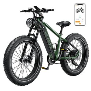 heybike brawn electric bike for adults 48v 18ah removable battery ebike with 750w motor, 28mph max speed, hydraulic front fork 26″ fat tire (brawn-green, green)