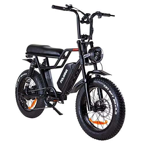 POLARNA Electric Bike for Adults 20" ebike Full Suspension 1000W Motor Samsung 48V 22.5Ah Removable Battery Fat Tire Electric Bike Mountain Beach Snow Bike 32MPH