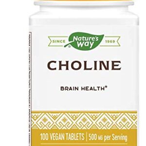 Nature's Way Choline, 500 mg, 100 Tablets, Pack of 2