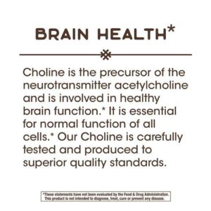 Nature's Way Choline, 500 mg, 100 Tablets, Pack of 2