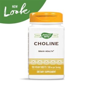 Nature's Way Choline, 500 mg, 100 Tablets, Pack of 2