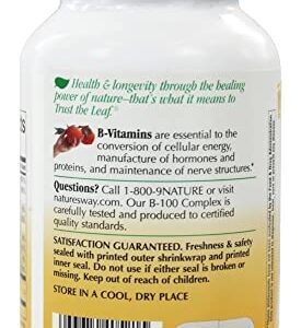 Natures Way Vitamin B-100 Complex Capsules For Energy And Nerves - 60 Ea