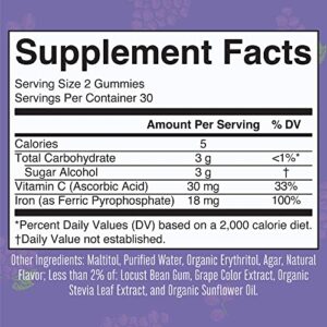 Adult Iron Gummies & Vitamin B12 Spray (Berry) by MaryRuth's | Iron Supplement for Iron Deficiency for Adults | Nerve Function & Energy Boost Supplement