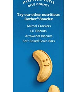 Gerber Toddler Banana Cookies, Baked with Real Bananas, 5 oz. Box (Pack of 5)