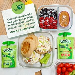 GoGo squeeZ Fruit on the Go Variety Pack, Apple Apple, Apple Banana, & Apple Strawberry, - Tasty Kids Applesauce Snacks - Gluten Free Snacks for Kids - Nut & Dairy Free - Vegan Snacks, 3.2 Ounce (Pack of 20)