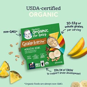 Gerber Organic Grain & Grow Morning Bowl, Oats, Barley & Red Quinoa With Banana & Summer Berries, 4.5 Ounce (Pack of 8)