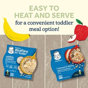 Gerber Baby Cereal, Oatmeal & Barley, Apple Cinnamon, 4.5 Ounce Self-Feeding Trays (Pack of 8)