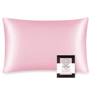 olesilk 100% mulberry silk toddler pillowcase for hair and skin, both sides 19 momme pure natural silk travel pillow cases with hidden zipper, 13″x 18″, pink