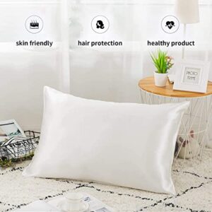 Ravmix Silk Pillowcase for Hair and Skin 21 Momme with Hidden Zipper, Both Sides Silk, 1PCS, Standard Size 20×26 inches, Undyed Ivory White