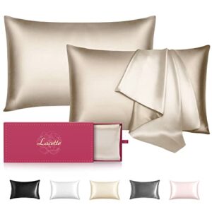 silk pillowcase 2 pack for hair and skin,22 momme 100% mulberry silk & natural wood pulp fiber grade 6a dual-sided silk pillow cases with hidden zipper,600 thread count(champagne,standard 20″x26″)