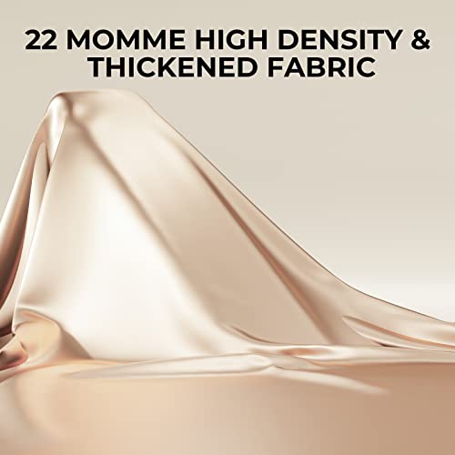 Silk Pillowcase 2 Pack for Hair and Skin,22 Momme 100% Mulberry Silk & Natural Wood Pulp Fiber Grade 6A Dual-Sided Silk Pillow Cases with Hidden Zipper,600 Thread Count(Champagne,Standard 20"x26")