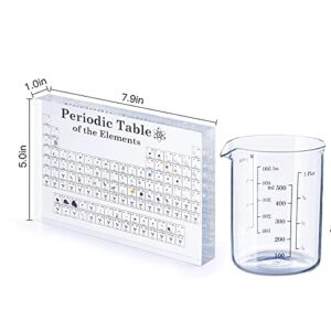 Large Periodic Table with Real Elements Inside, Larger Size 7.9 inch Easy to Read, Acrylic Periodic Table with Elements Samples