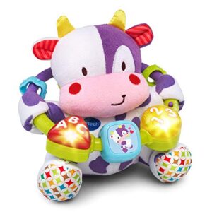 VTech Baby Lil' Critters Moosical Beads Amazon Exclusive, Purple