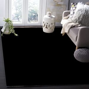 Indoor Area Rugs, Solid Color Black Non-Slip Rubber Backing Rug, Non-Shedding Floor Carpet Washable Throw Rug for Living Room Bedroom Dining Home, 2' x 3'