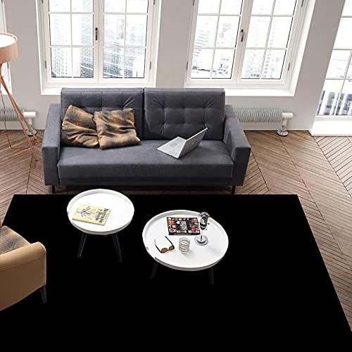 Indoor Area Rugs, Solid Color Black Non-Slip Rubber Backing Rug, Non-Shedding Floor Carpet Washable Throw Rug for Living Room Bedroom Dining Home, 2' x 3'