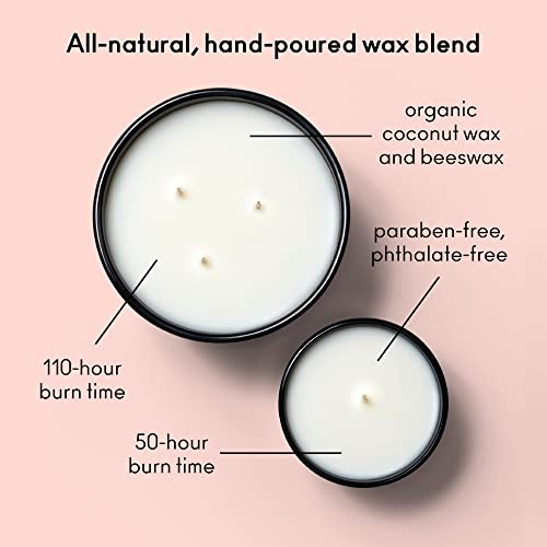 Boy Smells Holiday Votive Trio | 18 Hour Long Burn | Coconut & Beeswax Blend | Luxury Scented Candles for Home (3 Pack, 3 oz Each)