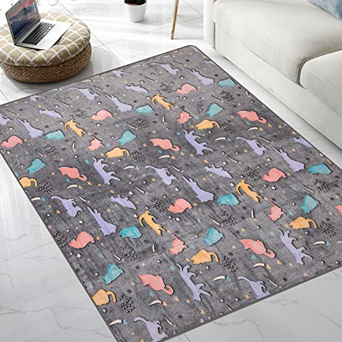 QH Colorful Cats Pattern Glow in The Dark Area Rug Area Rug for Living Room Bedroom Playing Room Size 5'x6'