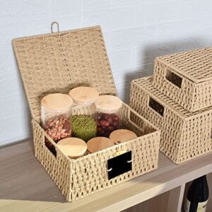 OUTBROS Storage Box Hand-Woven Wicker Storage Baskets with Lid, Multipurpose Stackable Storage Bin, Shelf Nesting Baskets, Desktop Makeup Organizer Container with Built-In Carry Handles, Natural