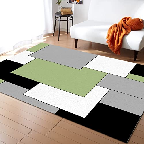 Fresh and Simple Green Geometric Area Rug, Modern Black and White Plaid Interior Rug, Super Soft Fluffy Plush with Non-Slip Backing, Suitable for Living Room Bedroom Study Dining Room 5 x 6ft