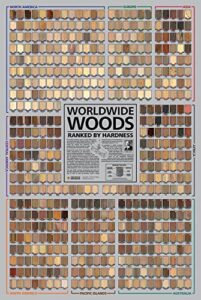 the wood database worldwide woods poster