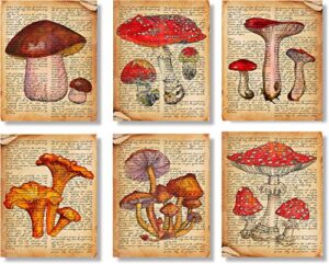 vintage mushroom botanical wall art prints posters for room aesthetic,kitchen,office,classroom,bedroom,dining room decor,rustic vintage mushroom prints,wall art for cafe,restaurant,boho farmhouse style,unique gift,set of 6(8”x10”inch,unframed).
