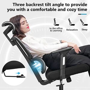 Primy Ergonomic Office Chair Gaming Chair, High Back Breathable Mesh Desk Chair, Comfortable Ergonomic Computer Chair with Adjustable Lumbar Support, Adjustable Lifting 360 Degree Swivel Task Chair