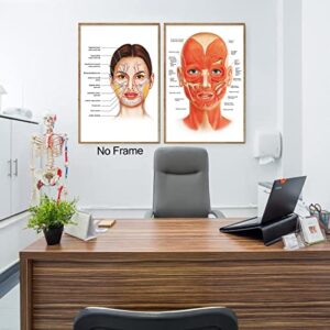 Facial Artery Muscle Poster Muscle Canvas Wall Art Facial Anatomy Poster for Hospital Clinic Decor Doctor Artwork Facial Vessels Poster Hospital Pictures Vessels Detailed Art Print 16x24inch No Frame