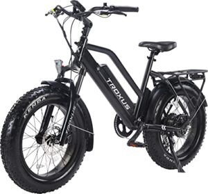 troxus fat tire electric bike for adults,750w hub motor 48v 12.8ah battery, 20″ x 4” fat tire ebike for adult, step-thru electric bicycle with shimano 7-speed