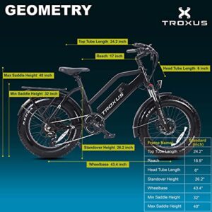 TROXUS Fat Tire Electric Bike for Adults,750W Hub Motor 48V 12.8Ah Battery, 20" x 4'' Fat Tire Ebike for Adult, Step-Thru Electric Bicycle with Shimano 7-Speed