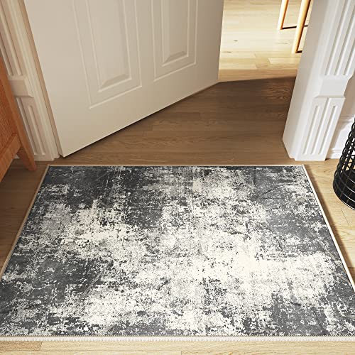 ODIKA 32x20 in Grey Dornier Entryway Rug, Doormat, Stain Resist, Patterned, Indoor