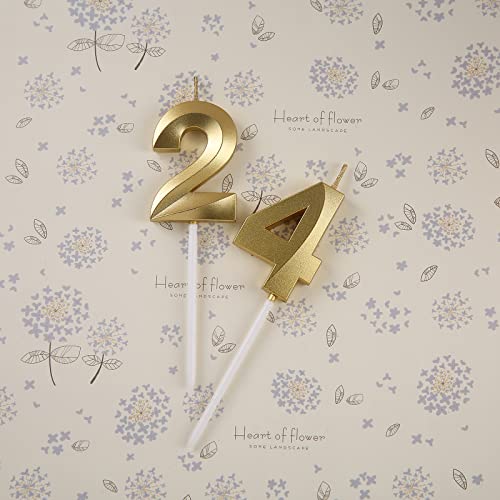 Gold 24th & 42nd Birthday Candles,Gold Number 24 42 Cake Topper for Birthday Decorations Party Decoration