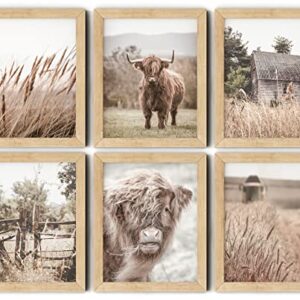 VICBOU Highland Cow Wall Art Highland Cow Decor Farmhouse Wall Decor Farm Animal Cow Print Stuff Rustic Wheat Field Landscape Print Painting for Home Kitchen Bathroom Living Room, 6Pcs, 8x10 Unframed