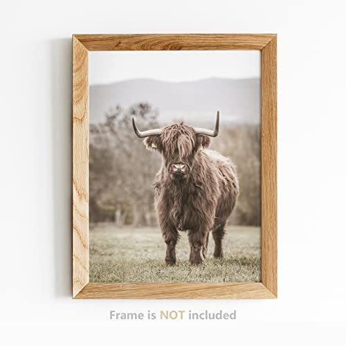 VICBOU Highland Cow Wall Art Highland Cow Decor Farmhouse Wall Decor Farm Animal Cow Print Stuff Rustic Wheat Field Landscape Print Painting for Home Kitchen Bathroom Living Room, 6Pcs, 8x10 Unframed