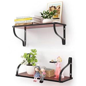 acrylic floating shelves,15.7″floating shelves wall mounted set of 2, sturdy thickness 10mm(0.4inch) acrylic shelves for bedroom, bathroom, living room, kitchen, laundry room storage & decoration