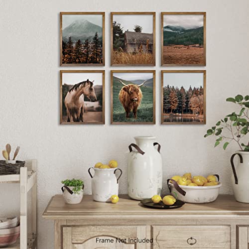 Highland Cow Pictures Wall Art - Farm House Animal - Boho Western Decor - Gift Cowboy Men Cowgirl - Set of 6 - Old West Ranch Room Decor - Country Horse Print - Fall Rustic Farmhouse Bathroom Poster