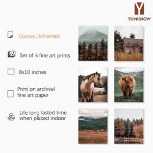 Highland Cow Pictures Wall Art - Farm House Animal - Boho Western Decor - Gift Cowboy Men Cowgirl - Set of 6 - Old West Ranch Room Decor - Country Horse Print - Fall Rustic Farmhouse Bathroom Poster