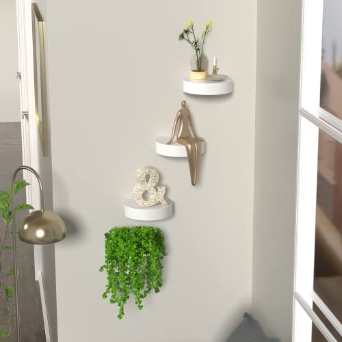 DELFOY Set of 4 White Wall Shelves, Decorative Wall Mount Display Shelf, Hanging Small Round Plant Collectibles Figurine Trophy Photo Frame Showcase Ledge Mini Floating Decor Shelves